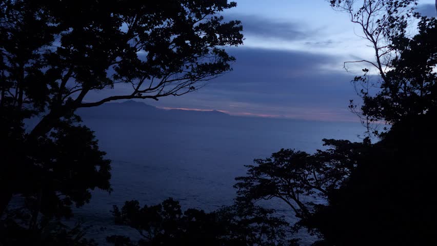 Night darkness, flying foxes, pteropus bats, natural habitat, island location