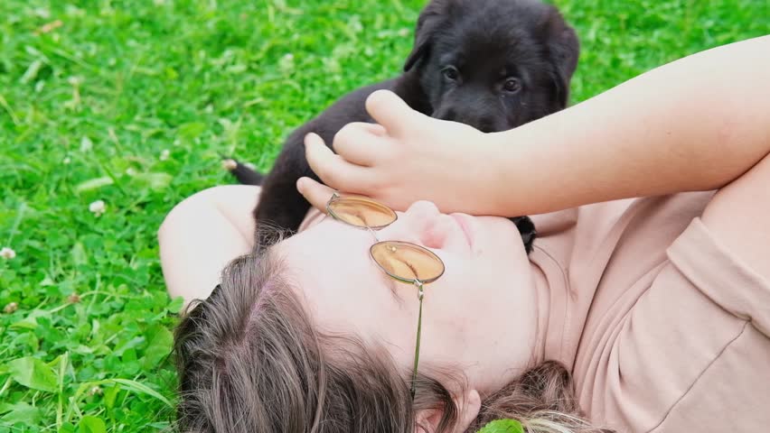 Little german shepherd black puppy licks face of owner with love. Happy annoying dog spending enjoying good time with girl on nature countryside field background . Cute doggy licking. Hunting breed.