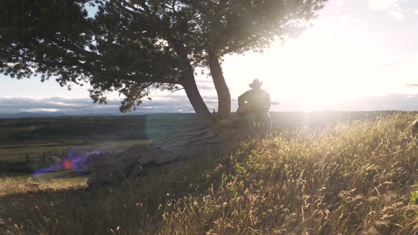 Male rancher in cowboy hat playing guitar below tree on sunny hillside