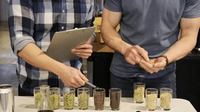 Male brewers examining hops in brewery - Powered by Shutterstock - Get 15% off with code: PIKWIZARD15