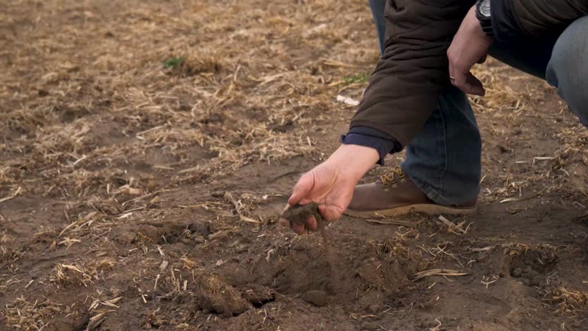 Male farmer examining soil in farm field