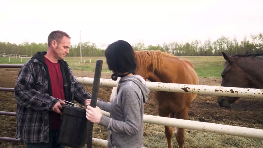 Farmer couple feeding horses at paddock fence