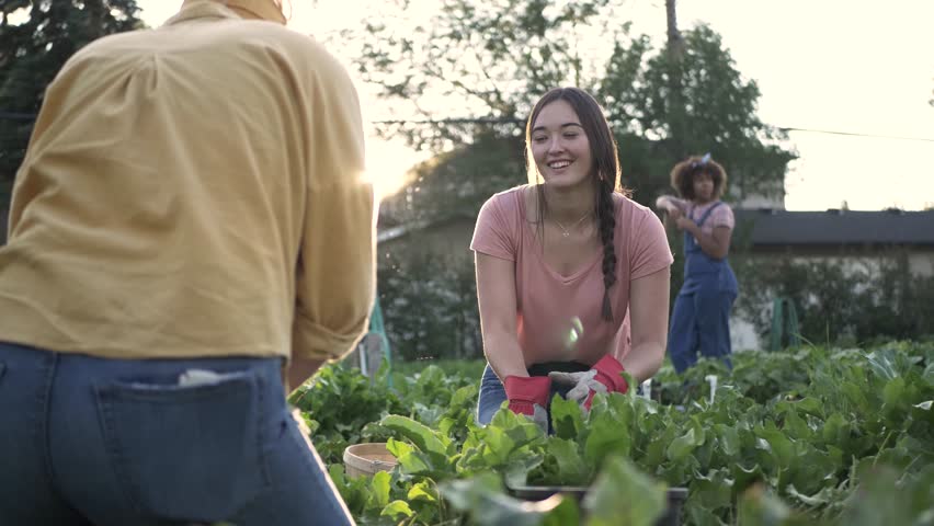 Friends working in community garden