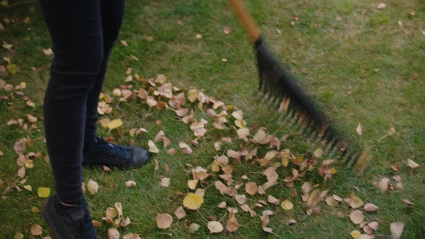 Young woman raking autumn leaves on grass