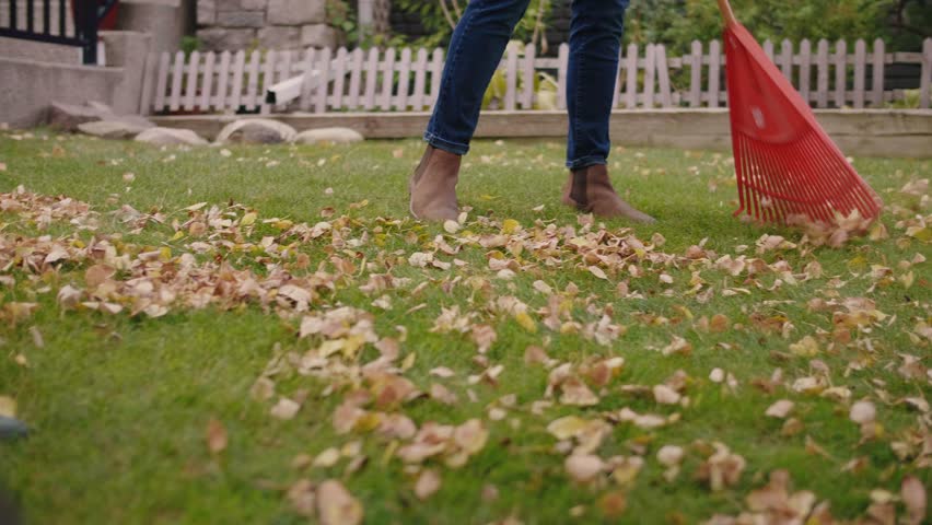 Young couple raking autumn leaves on grass