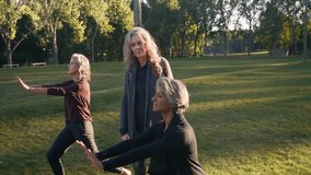 Instructor guiding woman practicing tai chi in sunny park - Powered by Shutterstock - Get 15% off with code: PIKWIZARD15