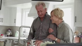 Affectionate senior couple talking doing dishes at kitchen sink - Powered by Shutterstock - Get 15% off with code: PIKWIZARD15
