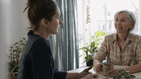 Mother and adult daughter talking drinking tea at table - Powered by Shutterstock - Get 15% off with code: PIKWIZARD15