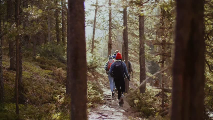 Group of people hing in forest