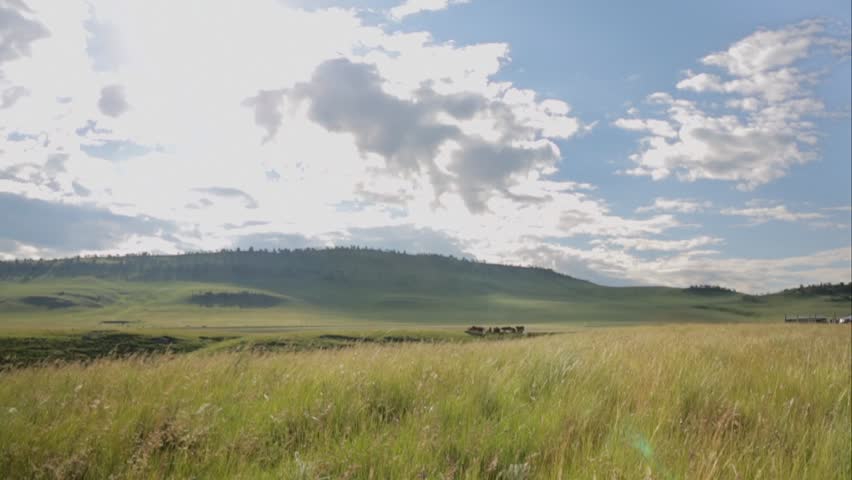 Female ranchers horseback riding in sunny remote rural field