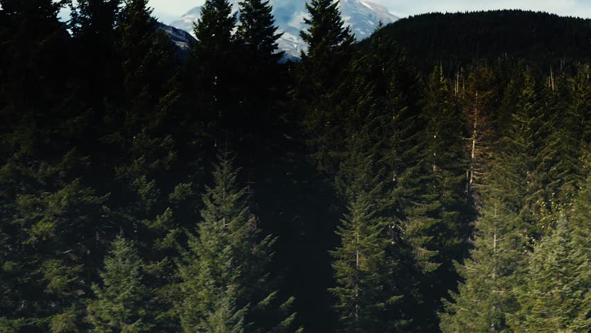Incredibly gorgeous tilt up drone aerial shot of Mt Rainier in Washington State.
