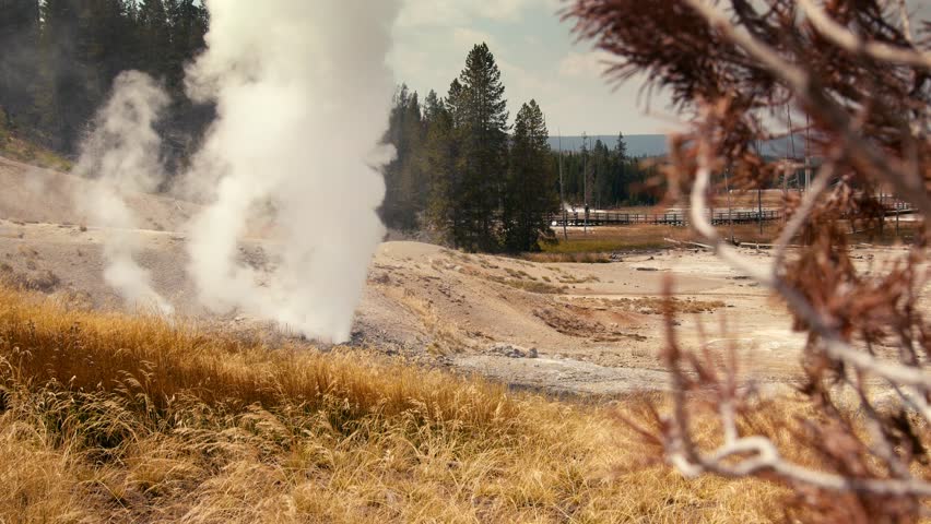 Handheld of a small geyser steam plume shooting out of the ground.