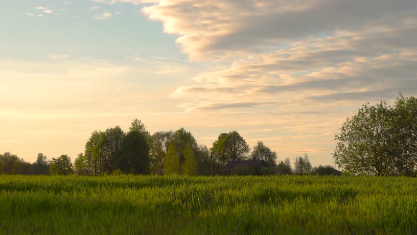 Idyllic countryside landscape with green meadow and cloudy evening sky