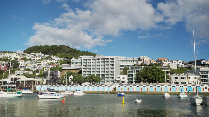 Wide shot of boats and boat sheds by the marina in Wellington, New Zealand
