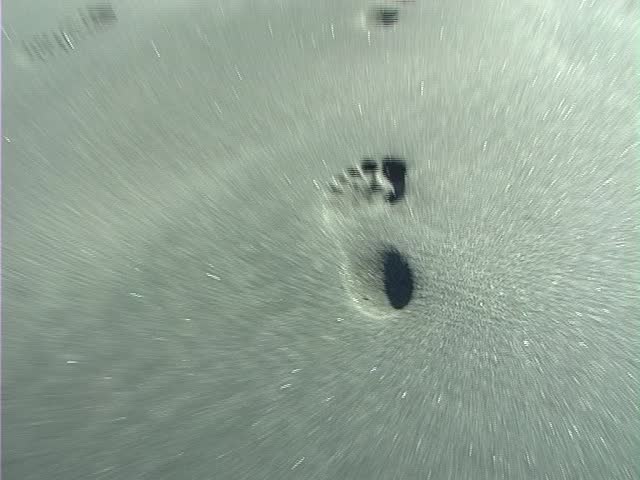 Footprints on the sand