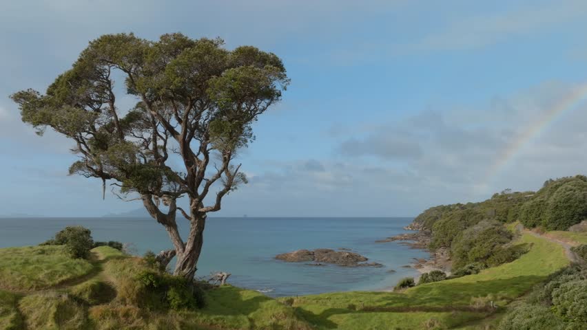 Aerial: Rainbow over coastline and pohutukawa tree on a hill in Bream Bay, Waipu, Northland, New Zealand.
