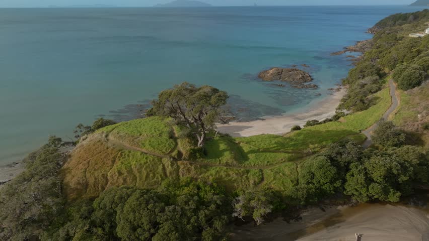 Sandy beach coastline and pohutukawa tree on a hill in Bream Bay, Waipu, Northland, New Zealand.