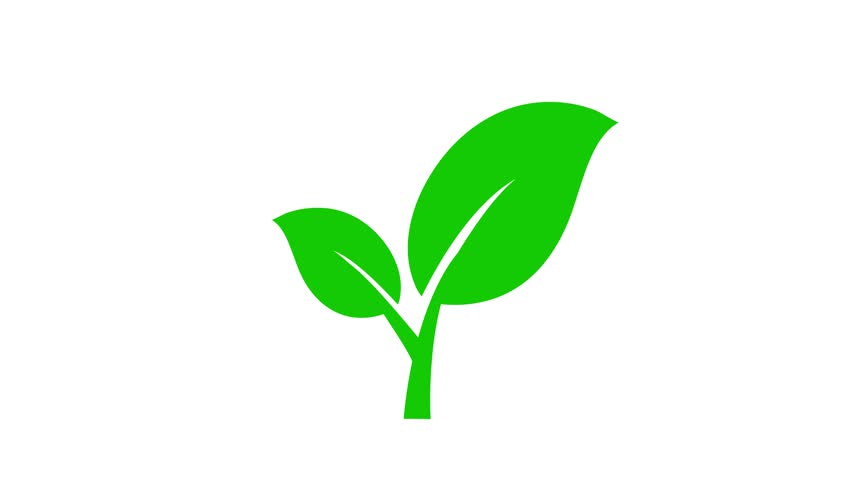 plant icon animated plant tree swaying in the wind simple 4k looping plant icon
