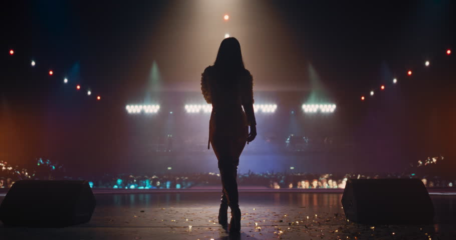 Pop Music Diva Performing a Live Concert on Stage, Surrounded by Falling Confetti and Dynamic Lighting. Musician Captivating the Audience with Her Outfit and Energetic Show. Footage From the Back