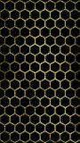 Shine Hexagon Mesh. Hexagon mesh patterns with black background, vertical resolution.
 - Powered by Shutterstock - Get 15% off with code: PIKWIZARD15