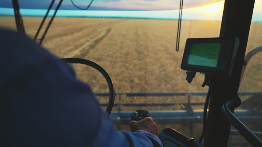 Harvesting ripe cereals, view from tractor cab, farmer moving steering wheel. Agricultural business in ecological areas, growing wheat, rye and barley for food industry, harvest season in farming