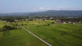 drone video footage in the middle of rice fields and mountains