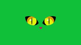cute cat eyes animation on green screen. cat animation. animated cat eyes. - Powered by Shutterstock - Get 15% off with code: PIKWIZARD15