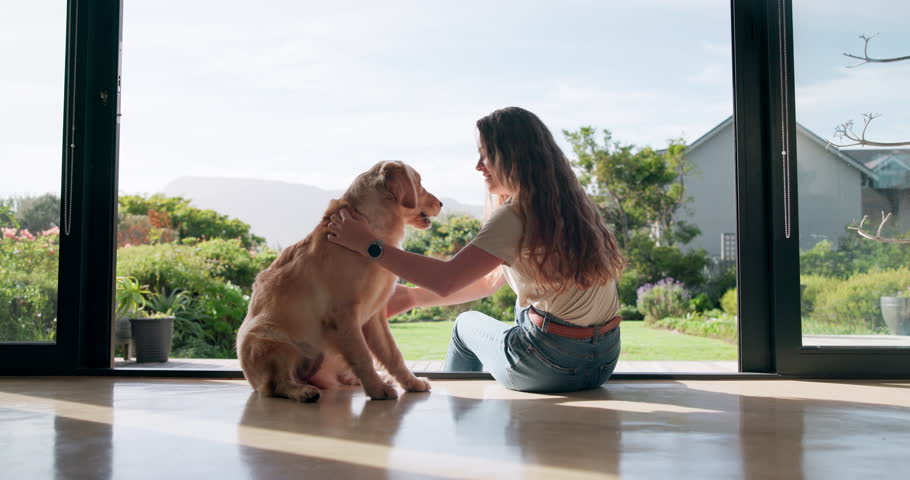 Bonding, woman and dog in home for support, trust and love with care and happy. Female person, pet and animal owner with playing for fun, relax and enjoy for welfare, adoption and friendship