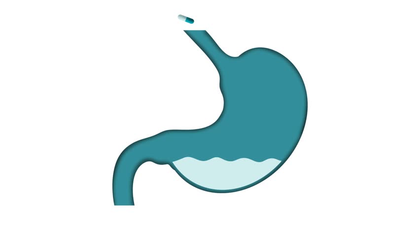 Stomach Intestine is Being Treated With Medicine Pill, Capsule with medicament, Dissolving drug, Human Stomach treatment, Capsule with medicaments, gastritis vaccine in a pill concept