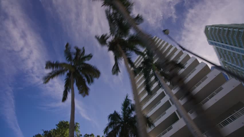 Low angle looking up point of view driving a car on the streets of Miami Downtown Brickell. Panning up view of Miami Skyline architecture modern buildings with palm trees