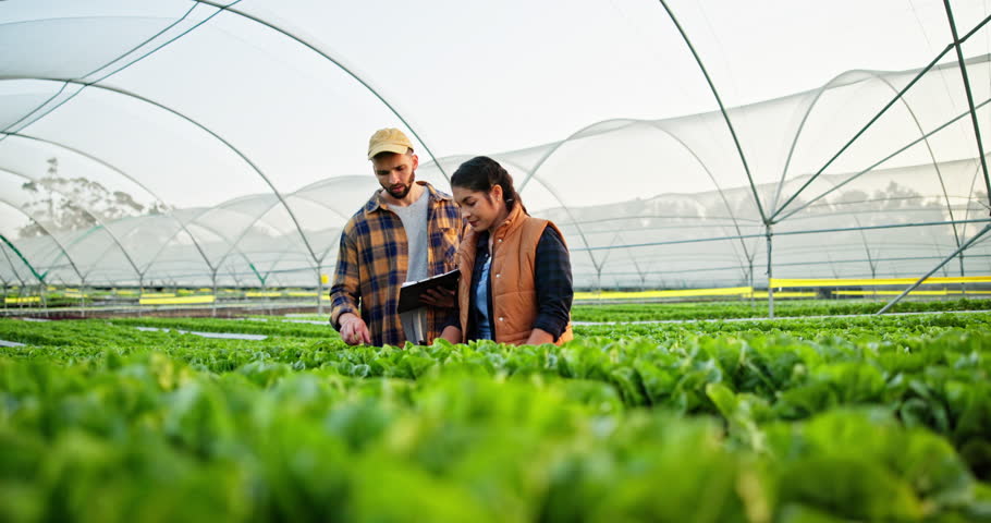 Farmers, plants and checklist in greenhouse for agriculture, sustainable or organic farming and inspection for quality control. People, man and woman with clipboard or discussion for agro development