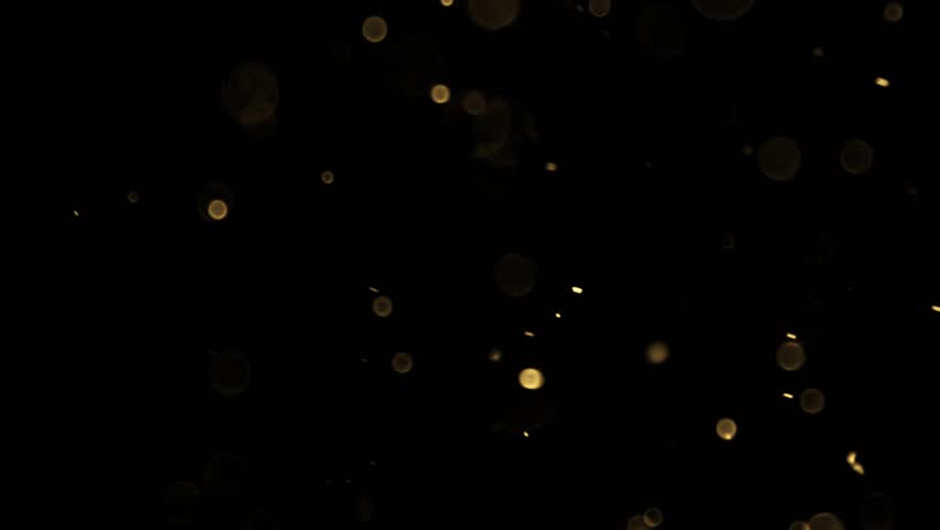 Gold dust particles fly in slow motion in the air lingering slowly. Dust Particles Background Bokeh Lights Background on Black Background 4k Footage Snow Particles Background.