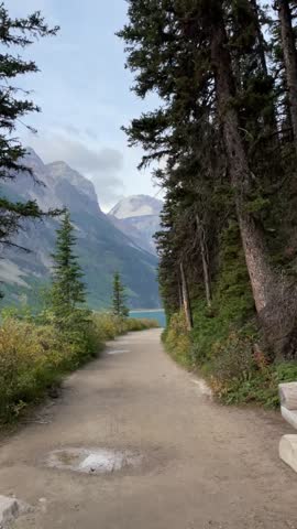 Hiking on a trail through pine tree forest - Canadian Rockies 