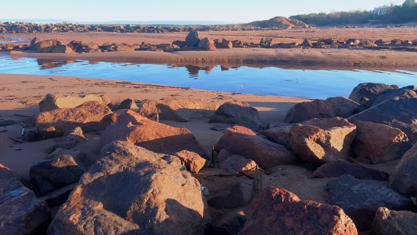 Peaceful blue river flowing between red sand and rocks. Black small toy poodle dog walking on bank of river on seaside. Morning beach. film grain pixel texture. soft focus. blur. live. 3D Illustration