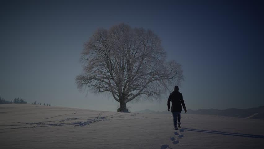 One Man Hiking Outdoors in Winter Snow Landscape Scenery