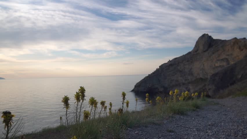 A beautiful view of the ocean with a few yellow flowers in the foreground. The sun is setting, casting a warm glow over the scene.
