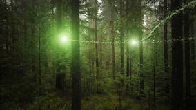 Magic light trails motion particles inside fairy green forest landscape. - Powered by Shutterstock - Get 15% off with code: PIKWIZARD15