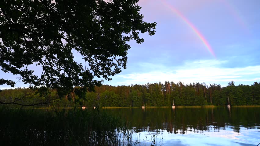 Evening, calm bay of a lake in Masuria, yachts in the distance, rushes