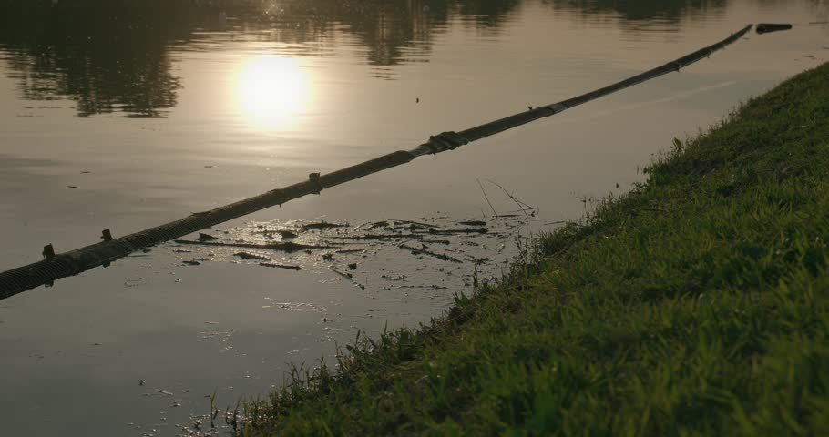 Sunset reflecting on a calm lake with a grassy shore and a floating log at Jarun Lake, Zagreb