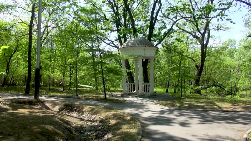 Road going into the distance surrounded by trees in a park in summer