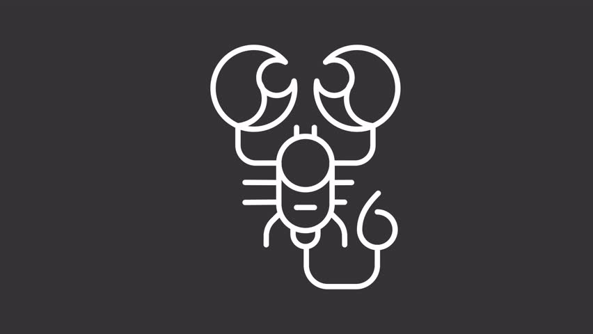 Animated scorpio white icon. Scorpion moving his pincers line animation. Astrological sign. Arachnid animal. Isolated illustration on dark background. Transition alpha video. Motion graphic
