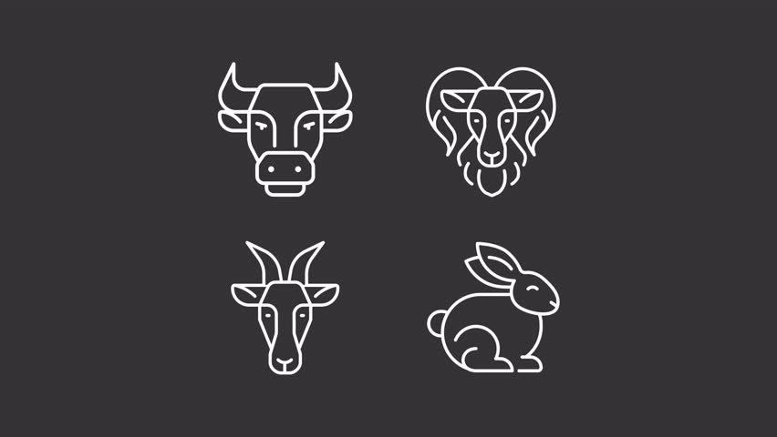 Animated farm animals white icons. Farm animals line animation library. Farm life and husbandry. Petting zoo. Isolated illustrations on dark background. Transition alpha. HD video. Icon pack