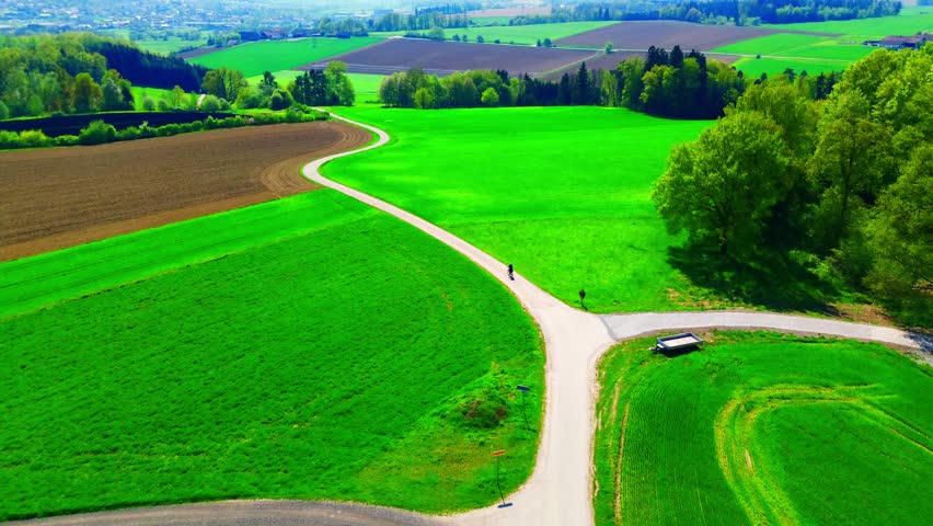 Aerial View of Serene Countryside Road Winding Through Lush Green Fields and Farmlands