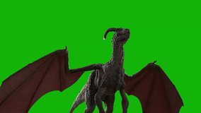 Dragon Flying high quality green screen backgrounds 4k, Top choice! High demand green screen video, 3D Animation, Ultra High Definition
 4k video.