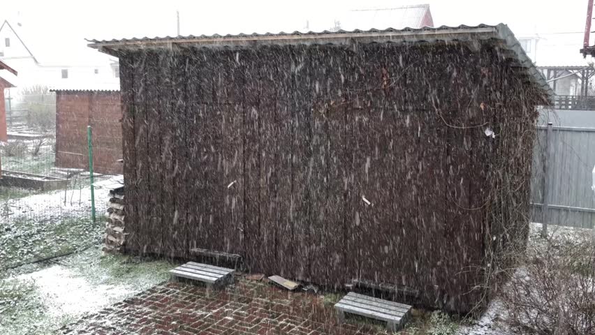 blizzard snow in early spring, dark barn in the foreground, vagaries of weather