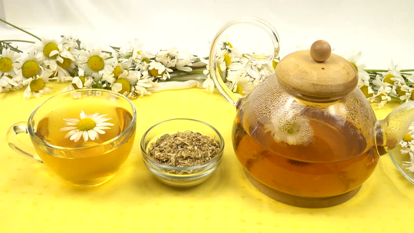 Teapot and cup of chamomile tea, dry chamomile tea and bunches of fresh chamomile flowers for drying are on a yellow background