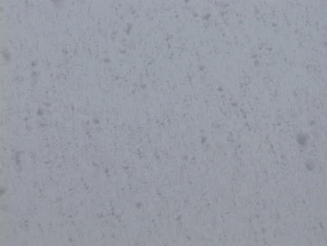 Snow flakes falling from sky.