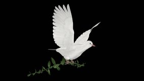 White Dove Pigeon with Green Olive Branch - Flying Loop - Aerial Front Side Angle View Close Up - Alpha Channel - 3D animation of symbolic bird of Peace, Love and Freedom isolated on transparent backg - Powered by Shutterstock - Get 15% off with code: PIKWIZARD15