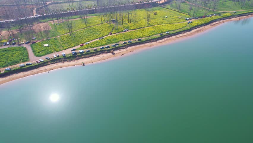 Spring rapeseed scenery at Ezhou Island in Changsha, Hunan