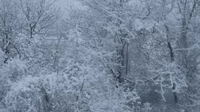 Window train snow. Fast movement along the snow-covered forest. The concept of travel, tourism, a quick fleeting life. View from the window of the elusive trees, fields. Winter time, snowfall - Powered by Shutterstock - Get 15% off with code: PIKWIZARD15